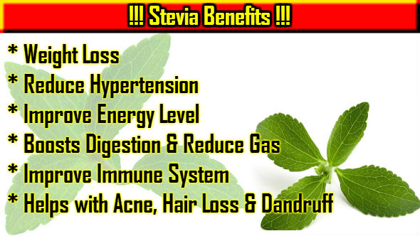 stevia health