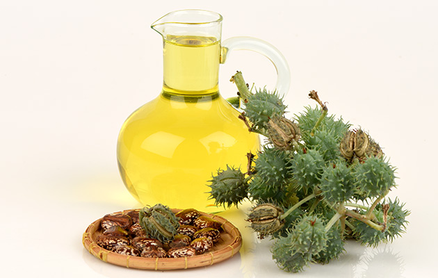 castor oil health