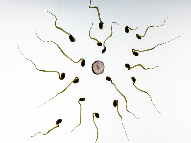 Top Tens Ways To Boost Male Fertility