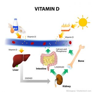 7 Reasons Why you need to Have Vitamin D