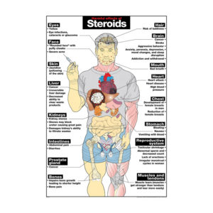 The Truth About Steroids what they Do and How They Work