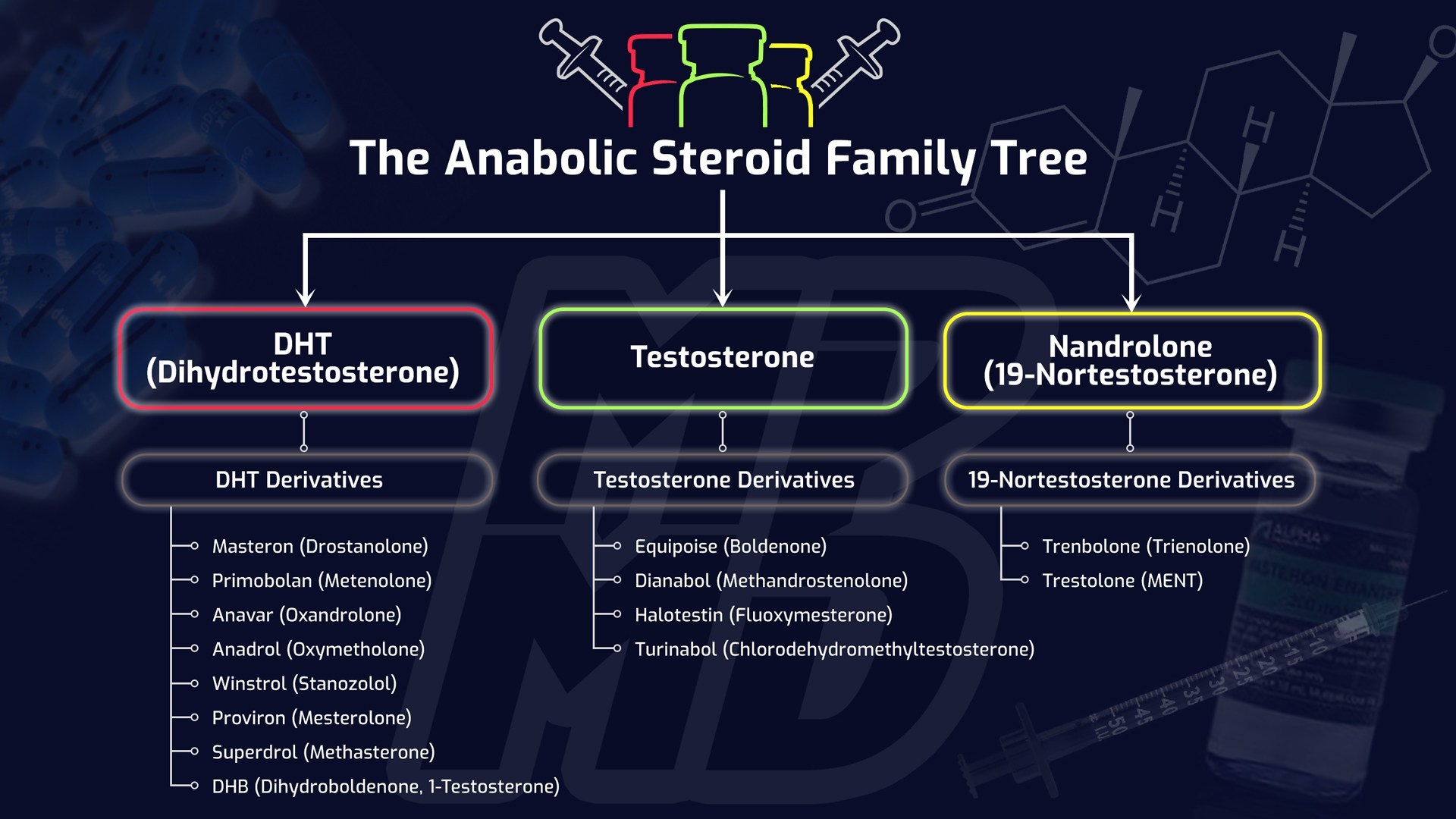 The Truth About Steroids What They Do And How They Work